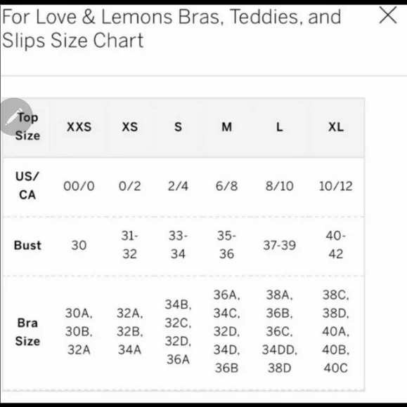 NWT For Love and Lemons 3pc SET Shimmer Lace BRA, GARTER & THONG